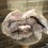 Roselite very Rare Massive Roselite very Rare Massive